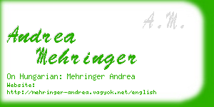 andrea mehringer business card